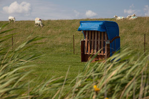 pellworm-deich-strand-entspannung.jpg